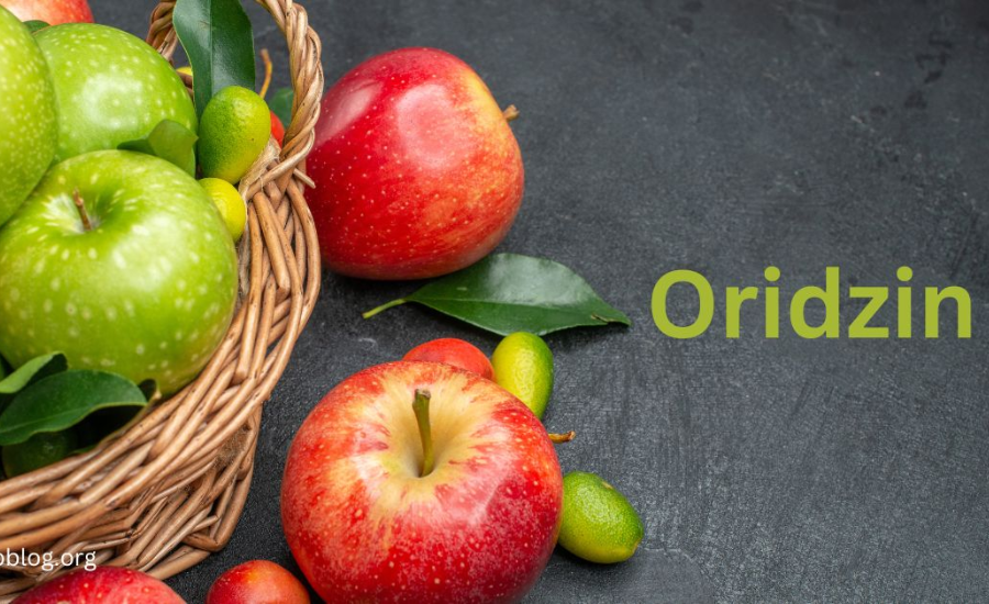 Maximizing Oridzin Intake Through Apples