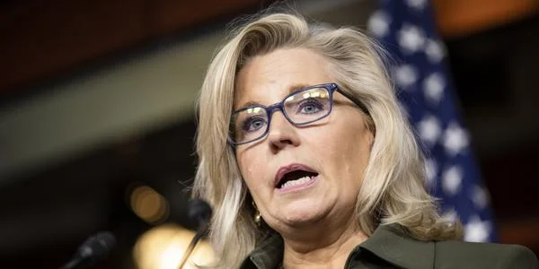 Liz Cheney Net Worth